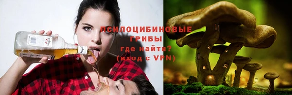 соль ск Вязьма