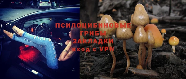 соль ск Вязьма