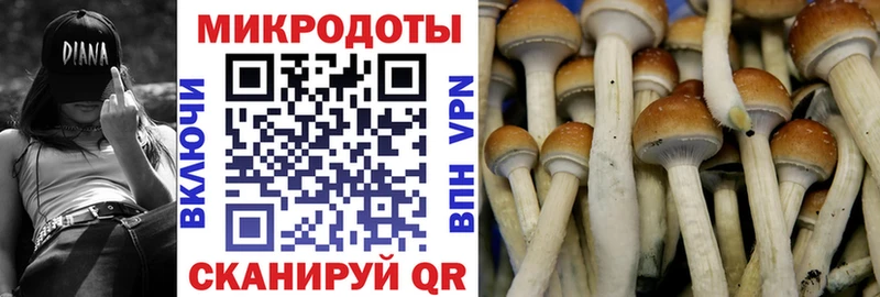 Псилоцибиновые грибы ЛСД  магазин продажи   Избербаш 